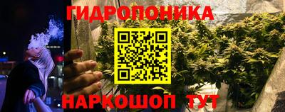 a pvp Брянск