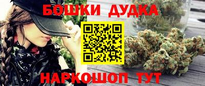 a pvp Брянск