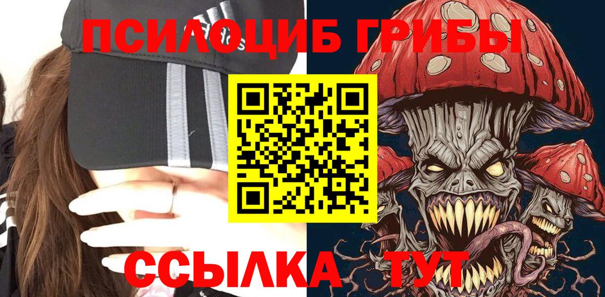 купить наркотики сайты  Вход с VPN  Верхняя Салда  Псилоцибиновые грибы Psilocybe 