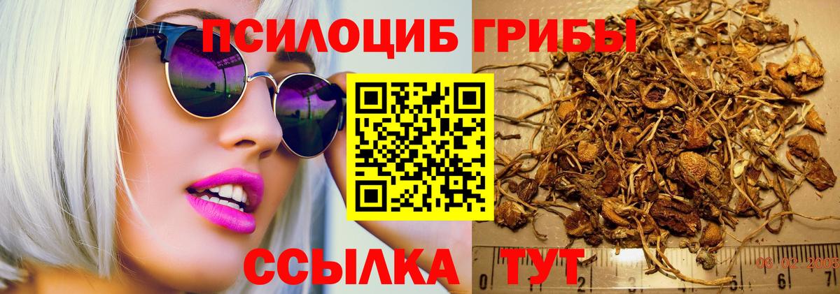 Галлюциногенные грибы Cubensis Верхняя Салда